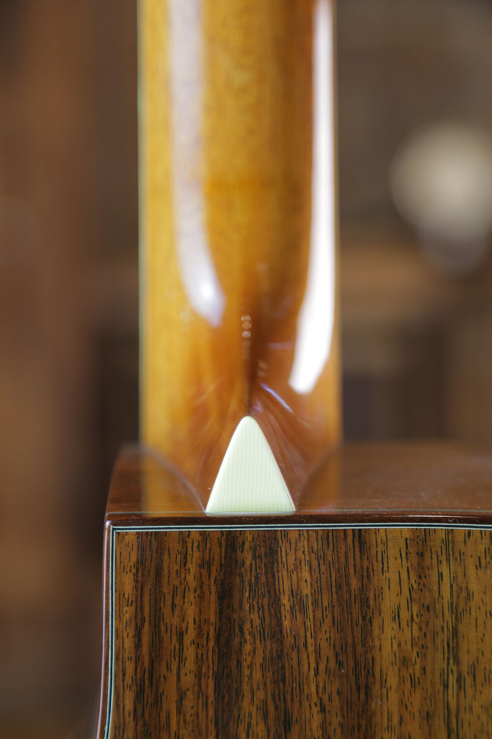 Miniature : Jean Larrivée DC-10 "Horse Headstock" 1995