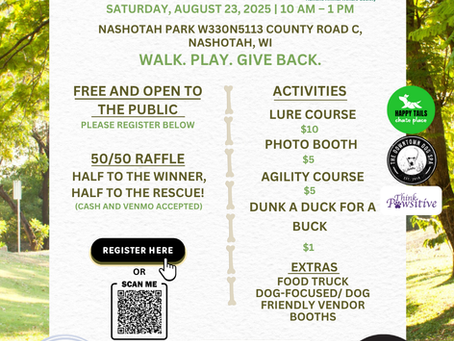 Mutt Strutt Fundraiser