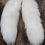 Thumbnail: Arctic fox tail 