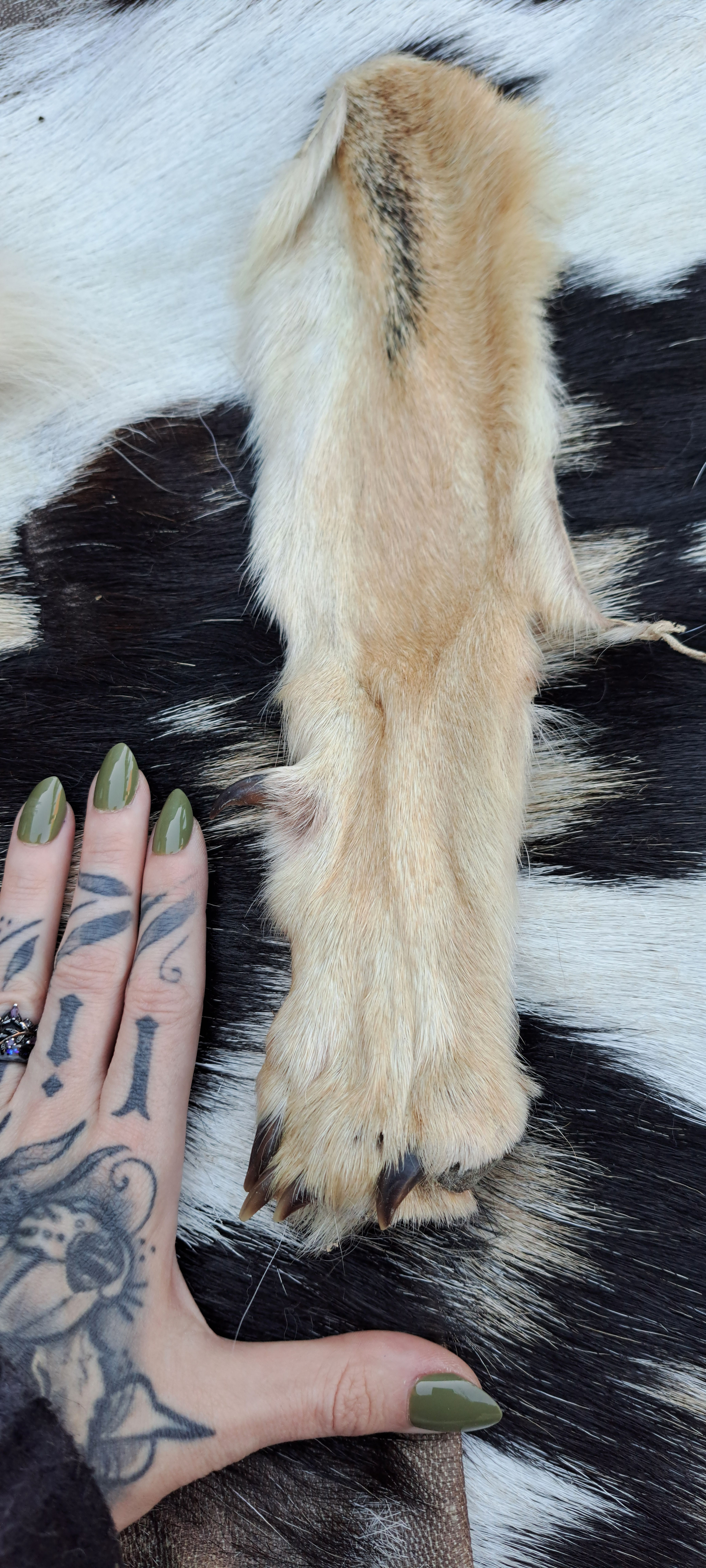Coyote Paw - 2L
