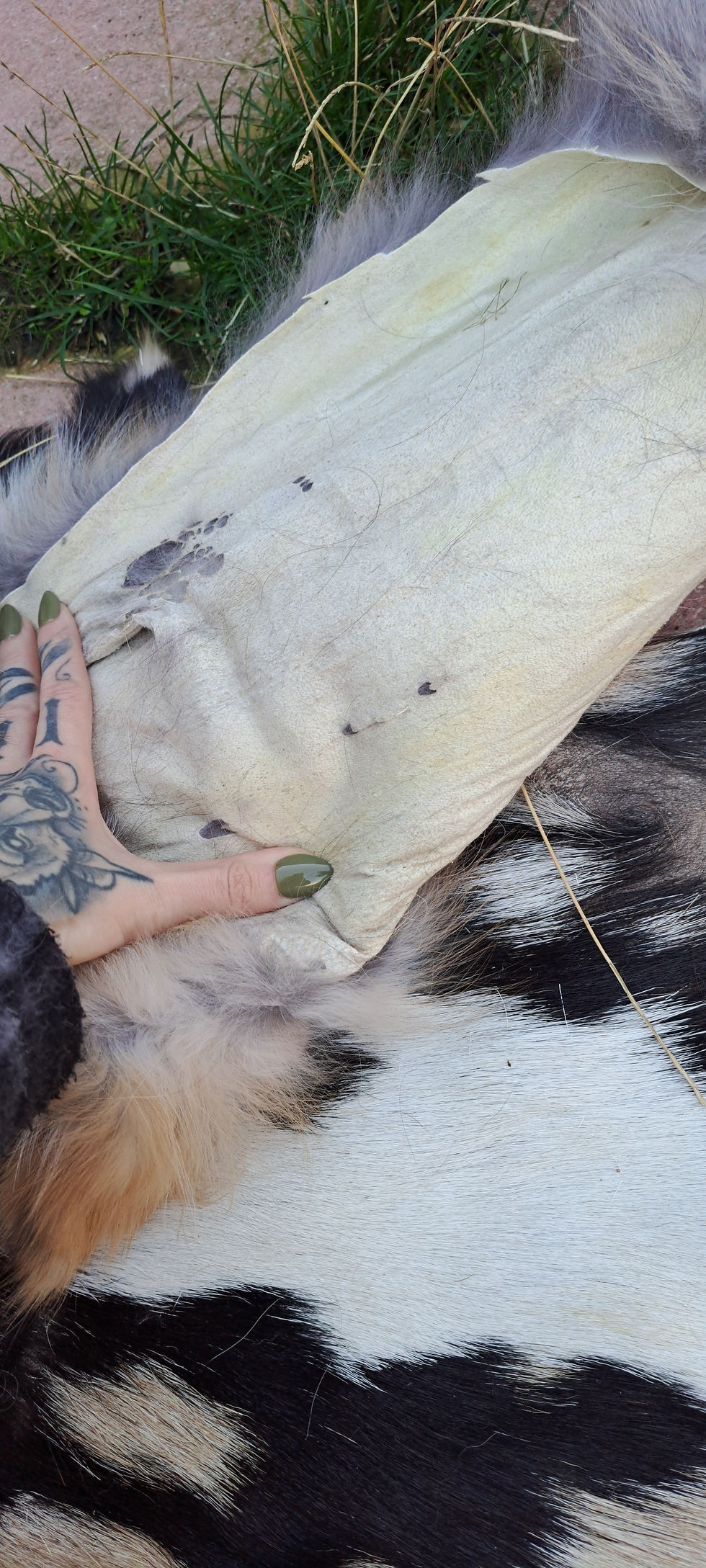 Thumbnail: Red Fox Pelt 
