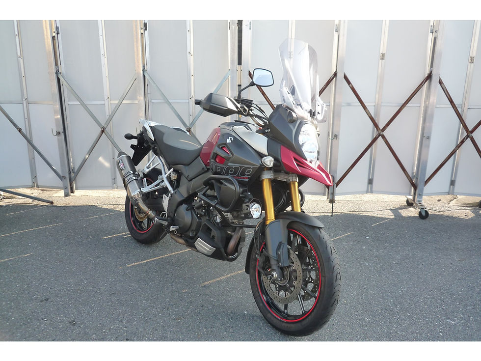 Прев'ю: Suzuki DL-1000 V-Strom Art.0489