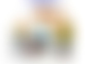 Voucher / Buoni lavoro INPS