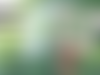 Stop alla plastica monouso: la lista dei prodotti messi al bando