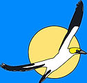 Logo BP-2.jpg