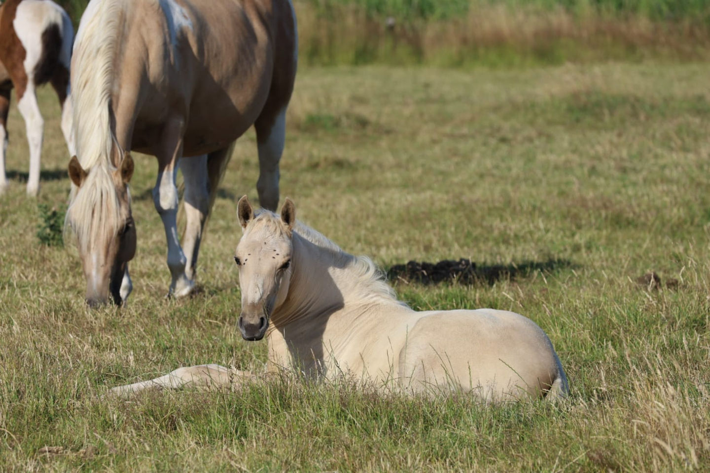 31308c25-4729-4f23-b06a-f9bee867a3c8