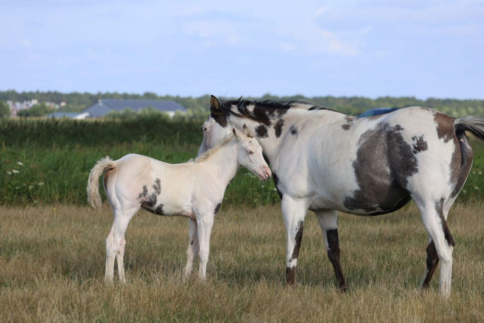 322a71d9-d605-4211-b024-7717255ae9ba