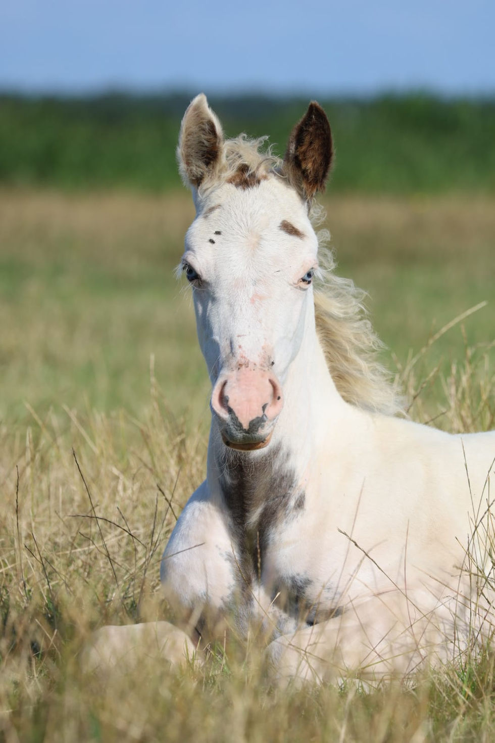 9f3f3aa3-64f5-4e5c-bcf9-cf48ffc246a8