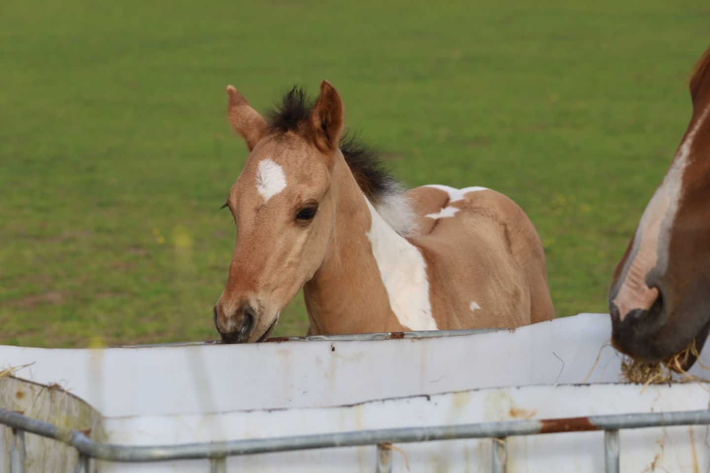 6b4760ad-397c-4dab-8dd9-ef882ee5e935