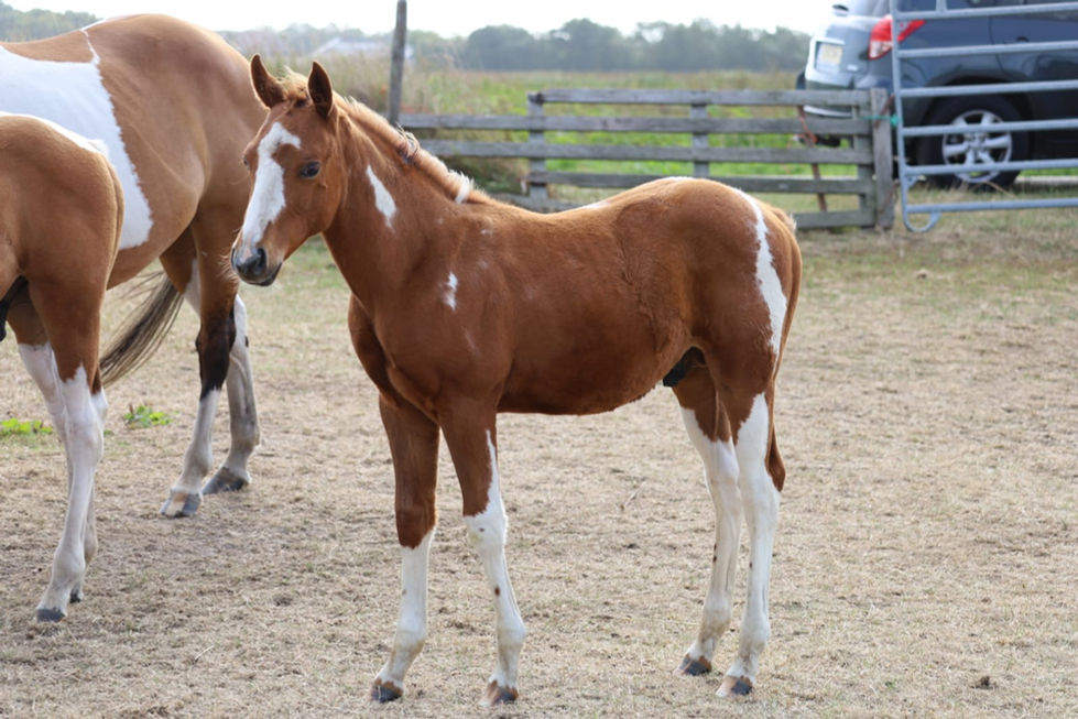 5893e064-1495-48e0-b4f4-d8aa9a53bfcb