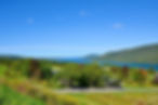 AdobeStock_381967151.jpeg