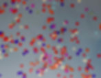 Benev - 21 Years-84_edited.jpg
