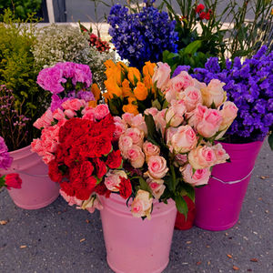 Colorful Flower Arrangements