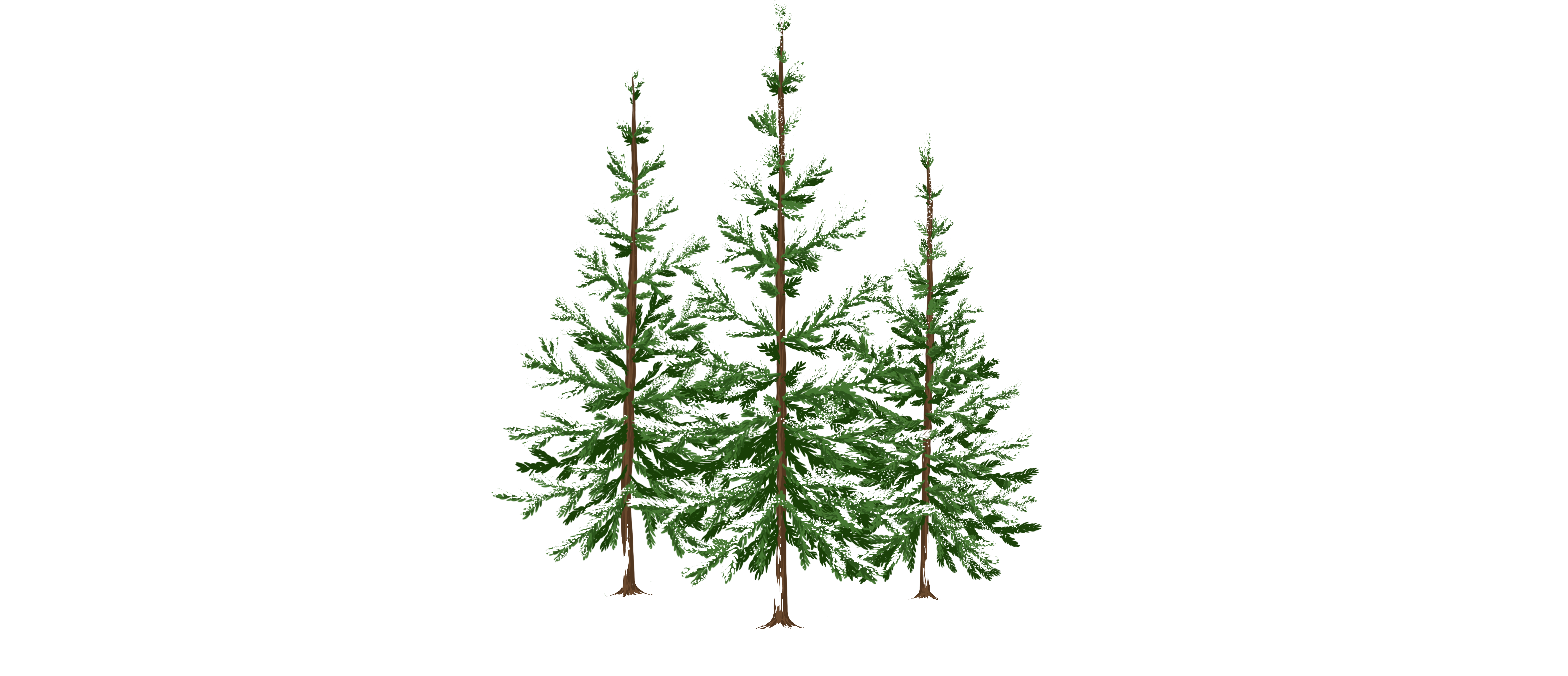 tree project_snow.png