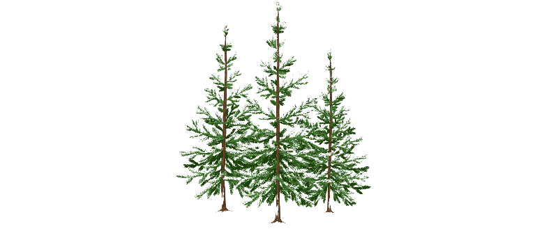 tree project_snow_edited.png