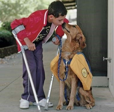Animal Assisted Therapy