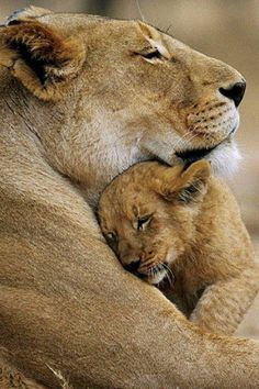 Beautiful Mother Nature