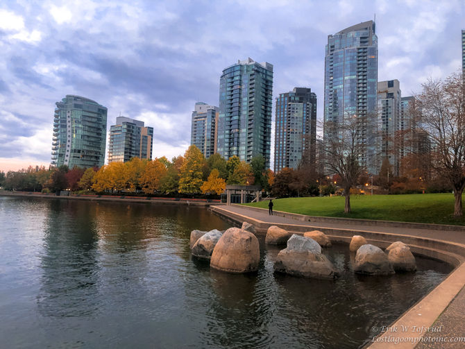 Fall in False Creek, Vancouver, BC, Canada