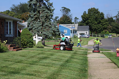LAWN 11.jpg