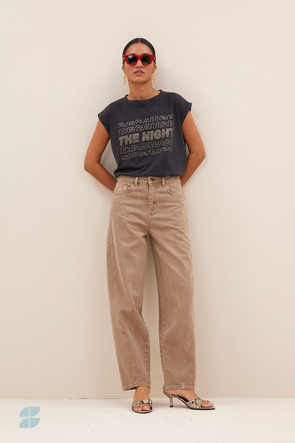 Miniatura: Pant Begum