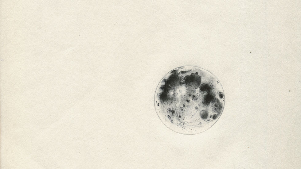 Serie di illustrazioni per la raccolta di poesie della scrittrice Liè Larousse.