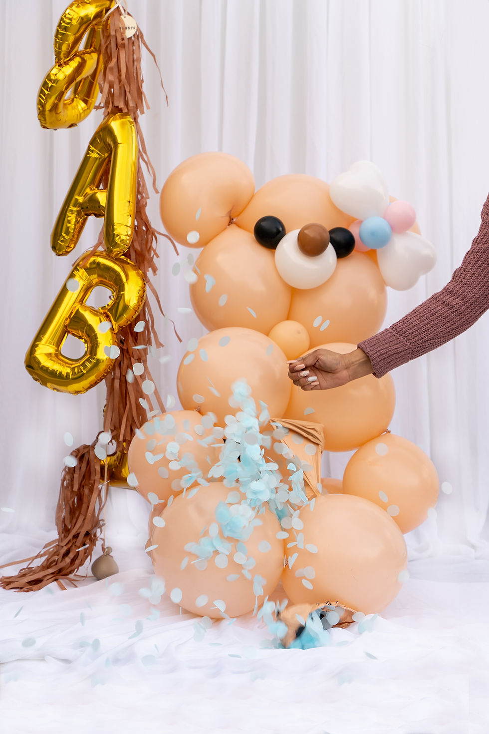 Thumbnail: What will Baby Bear be?