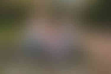 A group of smiling children sitting on large rocks in a park, surrounded by green grass and trees at Flixton House Park, Manchester.