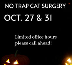 A New Design - Made with PosterMyWall (8).jpg