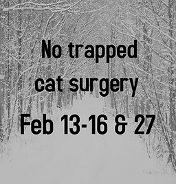 A New Design - Made with PosterMyWall (28).jpg