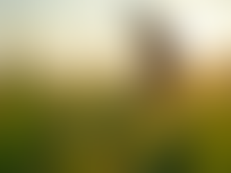 Como A APROCOSMA Fortalece Produtores Rurais