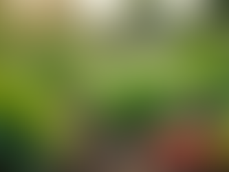 Sustentabilidade e Desenvolvimento na Agricultura Familiar