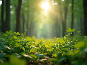 The Importance of Sustainable Living in Today's World
