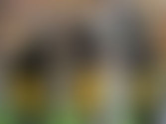 Nobody Puts The Pittsburgh Steelers In a Corner