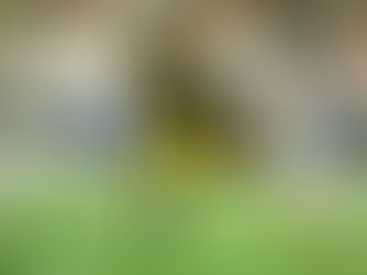 Four Potential Wide Receivers That Could Become Pittsburgh Steelers Trade Targets 