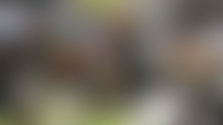 Four Value Picks I Love for the Pittsburgh Steelers