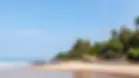gh plain.webp