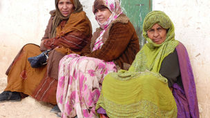 Pandemic in the desert: Covid-19 in the Sahrawi refugee camps