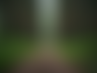 Domina el arte del autoconocimiento