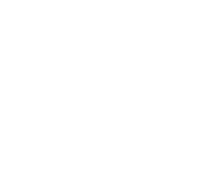 pfmwhite.gif