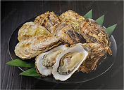 oyster.jpg