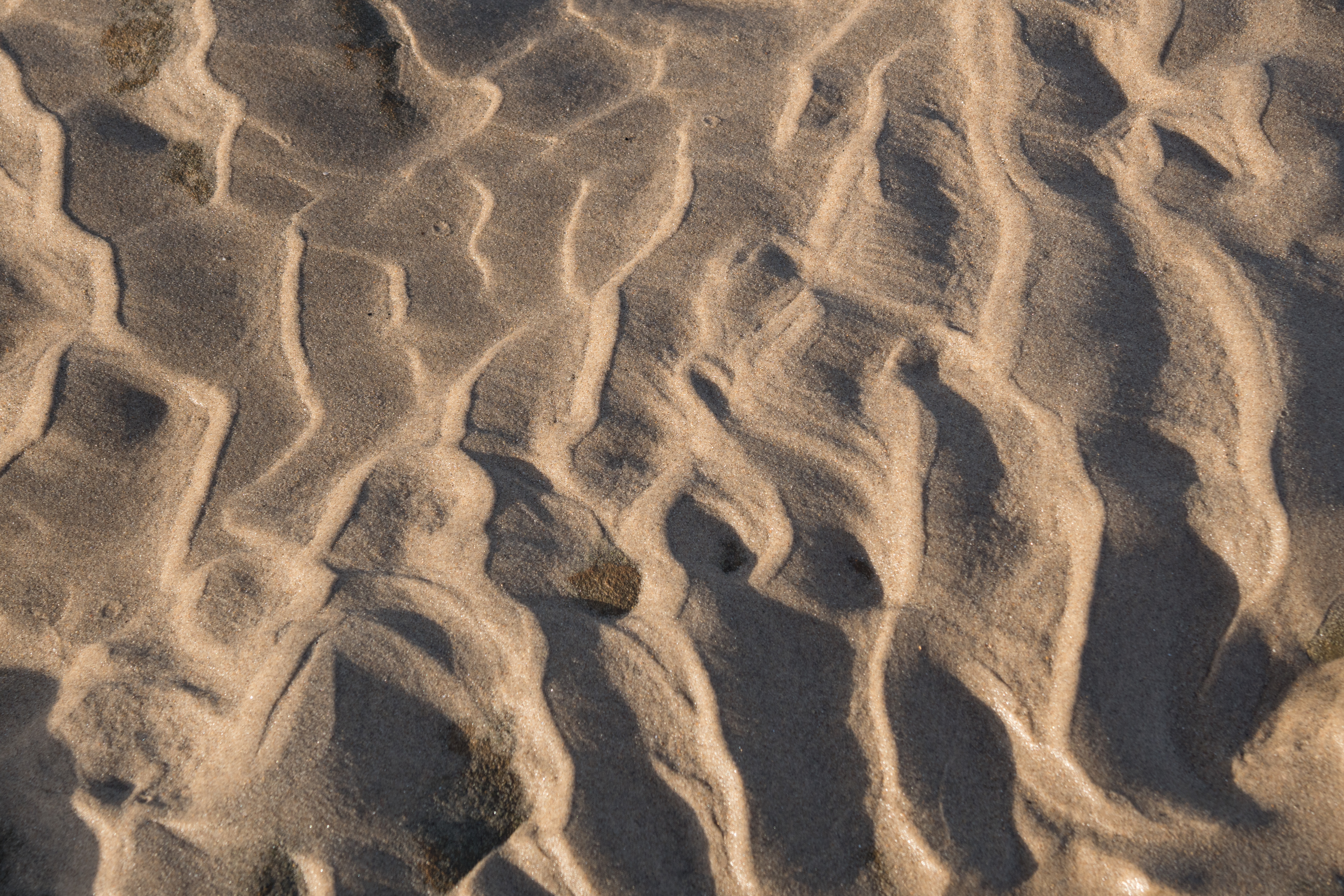 SAND RIPPLES