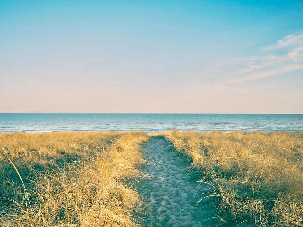 aaron-burden-n3OZeX6bR0g-unsplash 2.jpg