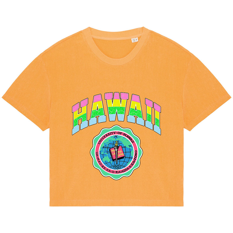 Miniature : T-shirt éponge Hawaii