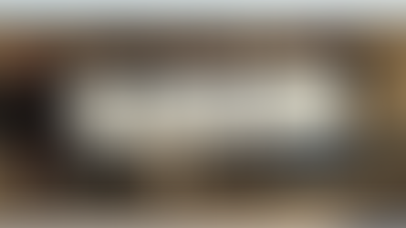 Blauvelt Sister Stands In Solidarity With Standing Rock Sioux