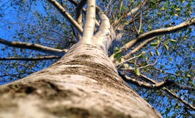 
Scripture Reflection - October 30, 2016