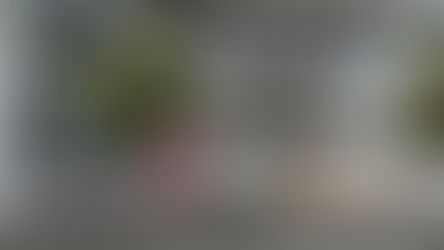 
Sister Jean Graffweg, OP