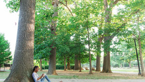 
Scripture Reflection - January 21, 2018