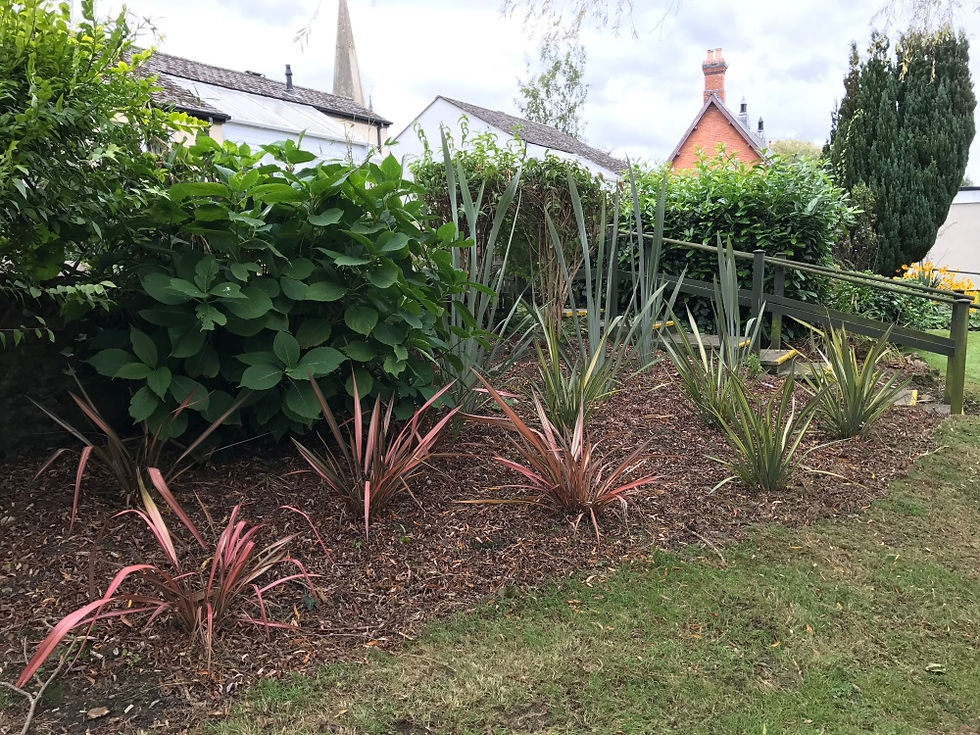 Gardening Services - Boarders