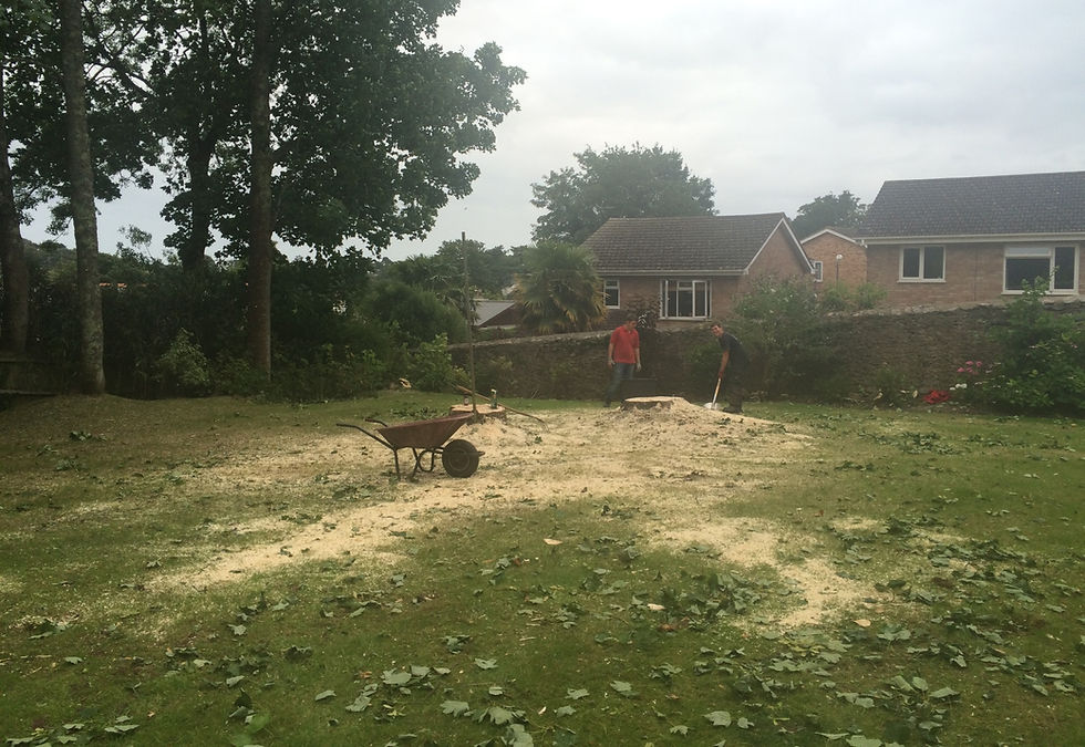Princes Ground Care - South West