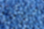blue-berry-P6TBU5R.JPG